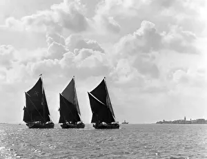 Stour: COASTAL SAILING BARGES