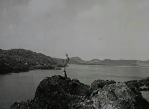 Beacon: Coastal view, St George's, Grenada, West Indies