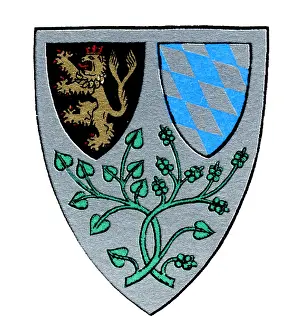 Birthplaces: Coat of arms, Braunau am Inn