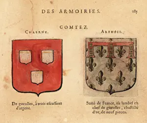 Comtez: Coat of arms of the Counts of Chaerny, Arthois