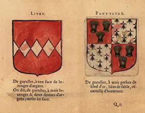 Comtez: Coat of arms of the Counts of Livey and Pont-Yevre