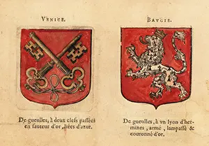 Comtez: Coat of arms of the Counts of Venice and Bauge