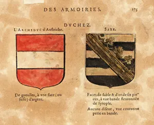 Blazon: Coat of arms of the Duchies of Austria and Saxe