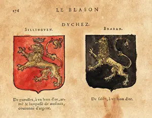 Armorial: Coat of arms of the Duchies of Sillinguen and
