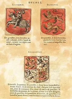 Quartered: Coat of arms of the Duchy of Lithuania, Brunswick