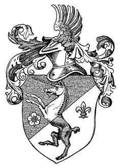 Capricorn: Coat of arms, Foeldessy