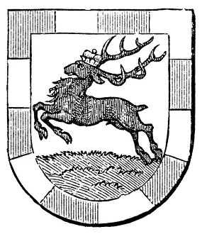 Schneidemuehl: Coat of arms, Pila
