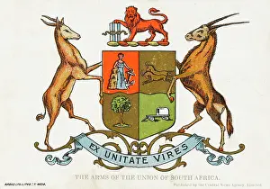 Springbok: The Coat of Arms of South Africa
