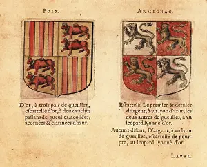Quarterly: Coats of arms of the Counts of Foix and Armagnac