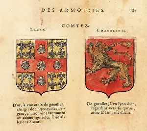 Red Cross: Coats of arms of the Counts of Laval and Charolais