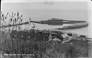 Cobb: The Cobb, Lyme Regis
