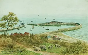 Cobb: The Cobb, Lyme Regis, Dorset, viewed from Holmbush