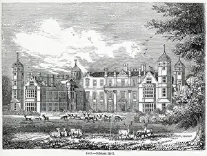 Deers: Cobham hall
