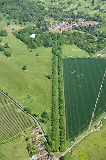 Repton: Cobham Park, Kent