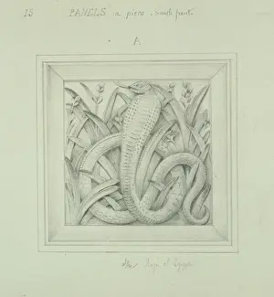 Scaled: Cobra design