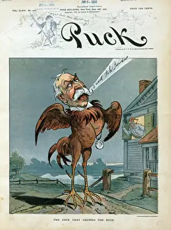 Dewey: The cock that crowed too soon
