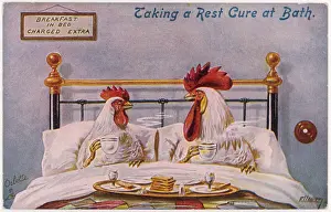 Cannibals: COCK, HEN IN BED