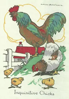 Rountree: Cock, Hen and Inquisitive Chicks