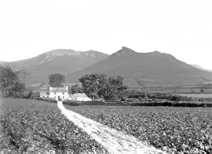 Cock: Cock and Hen Mountains. Co. Down
