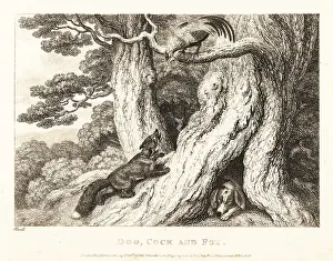 Cunning: A cock in a tree outwits a fox, while a dog sleeps