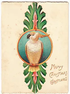 Cockatoos: Cockatoo on a Christmas card