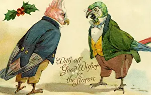 Cockatoos: Cockatoos by g h Thompson