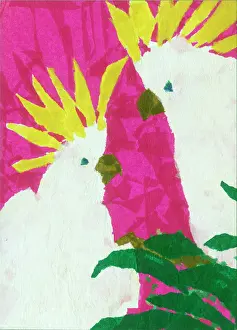 Cockatoos: Two Cockatoos with a pink background