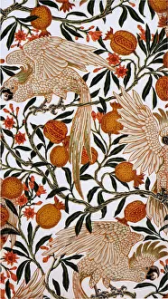Cockatoos: Cockatoos and Pomegranate