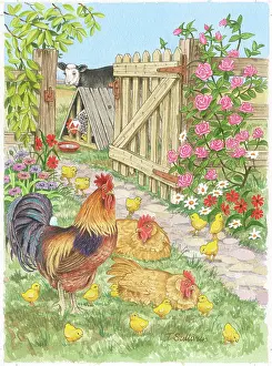 Coop: Cockerel with two hens and chicks in a garden