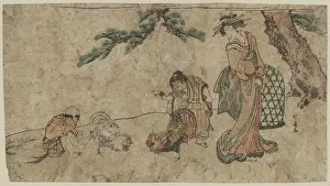 Cockfight: Cockfight under a pine tree