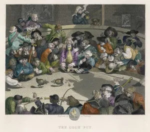 Cockfighting: Cockfighting - Hogarth