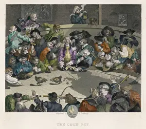 Cockfighting: Cockfighting - Hogarth
