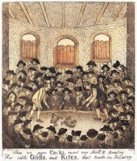 Cockfighting: Cockfighting (John Kay)