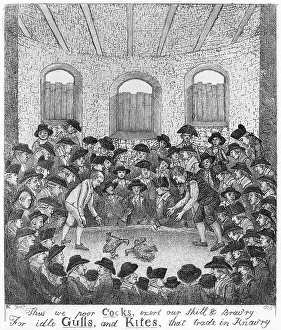 Kites: Cockfighting (John Kay)