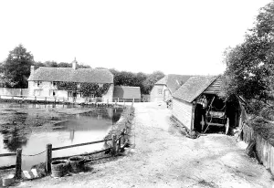 Cocking: Cocking, Mill 1906