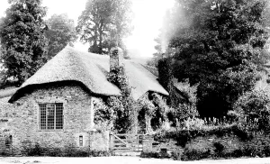 Cockington: Cockington, Court Cottage 1889