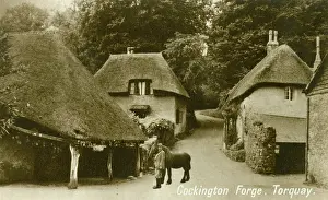 Thatch: Cockington Forge, Torquay, Devon