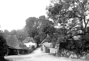 Cockington: Cockington, the Village 1889