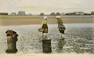 Mudflats: Cockling, Lancashire