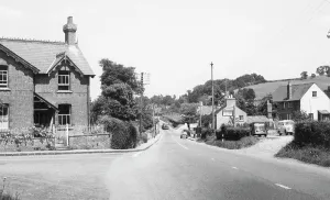 Cocks: Three Cocks, the Village c1960