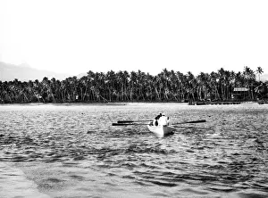 Cocos: COCONUT PLANTATION