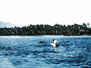 Cocos: COCONUT PLANTATION