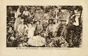 Silkworms: Cocoonery - Silk Manufacture - Syria