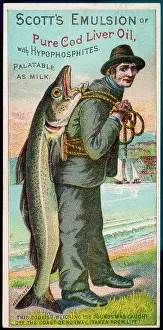 Emulsion: COD LIVER OIL