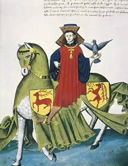 Lineage: Codex Capodilista, 1442. Falconer