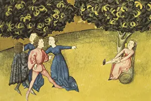 Medicina: Codex granatensis, c. 1400. Tacuinum sanitatis. Persimmon