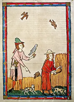 1305: Codex Manesse