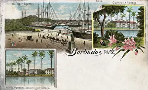 Clippers: Codrington College, Trafalgar Square, Barbados, West Indies