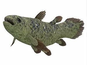 Markings: Coelacanth fish, side profile