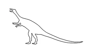 Coelophysis: Coelophysis